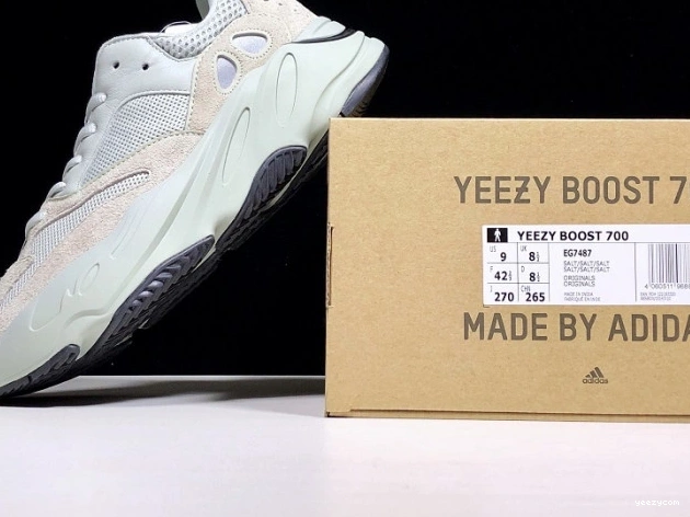 Yeezy Boost Salt v2 700 Adidas EG7487 0810
